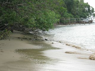 For sale land in Ko Yao, Phang Nga