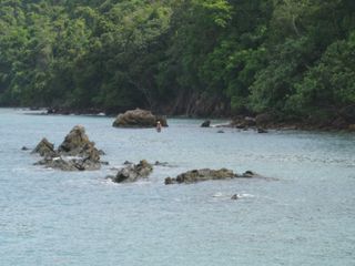 For sale land in Ko Yao, Phang Nga