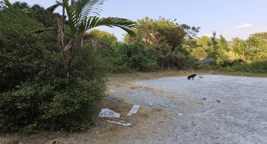 出售 土地 在 Sattahip, Chon Buri