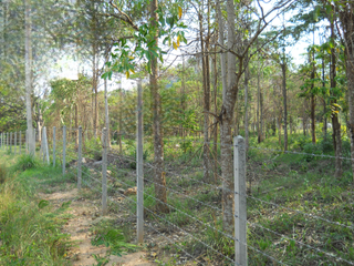 For sale land in Hua Hin, Prachuap Khiri Khan