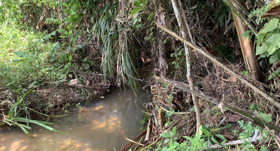 For sale land in Thalang, Phuket
