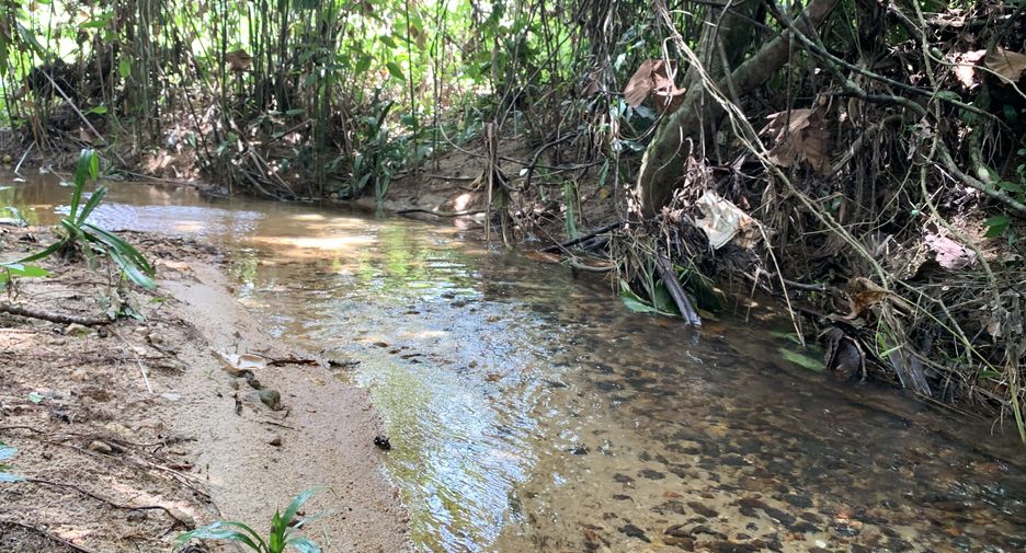 For sale land in Thalang, Phuket
