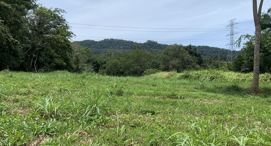 For sale land in Thalang, Phuket