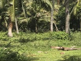 For sale land in Mueang Prachuap Khiri Khan, Prachuap Khiri Khan