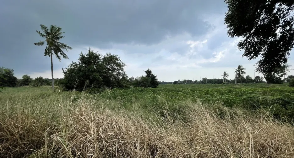 出售 土地 在 Bang Lamung, Chon Buri