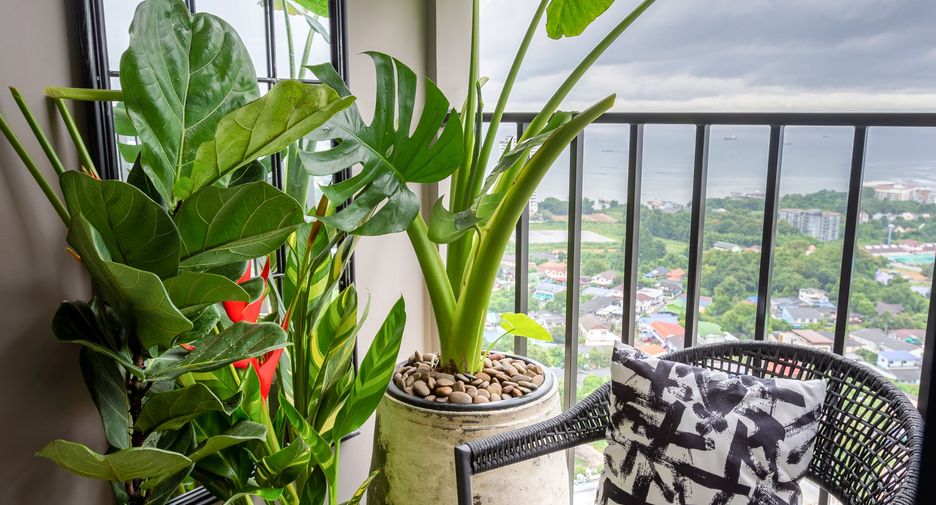 Wohnung zur Miete mit 2 Zimmer in Si Racha, Chonburi