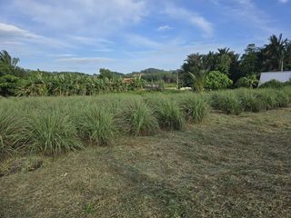 Grundstück zum Kauf in Thalang, Phuket