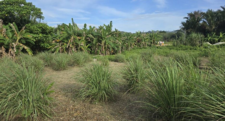 Terreno en venta en Thalang, Phuket