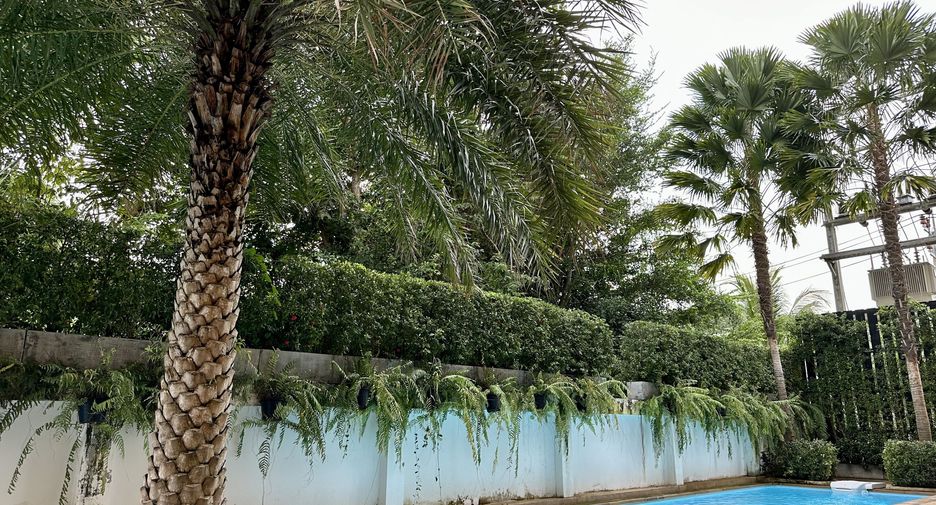 For sale 1 bed condo in Mueang Phuket, Phuket
