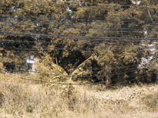 For sale land in Hua Hin, Prachuap Khiri Khan