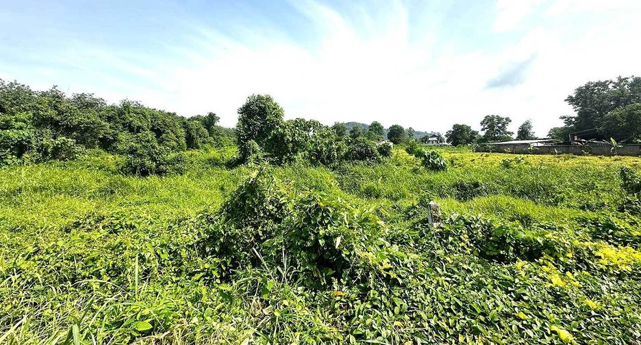For sale land in Thalang, Phuket
