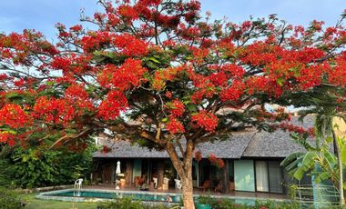 ให้เช่า 4 ห้องนอน วิลล่า ใน ถลาง, ภูเก็ต