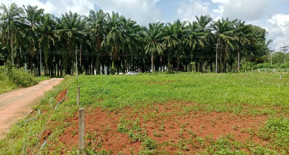 For sale land in Mueang Krabi, Krabi