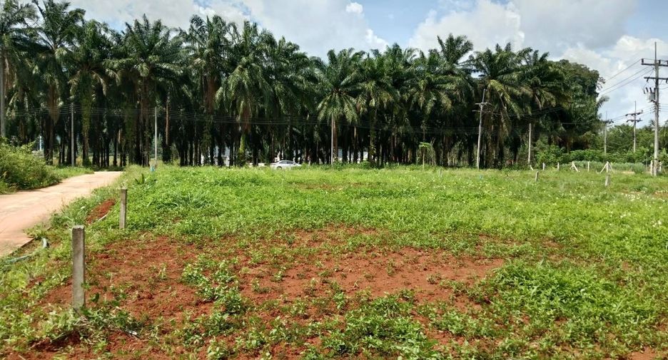 For sale land in Mueang Krabi, Krabi