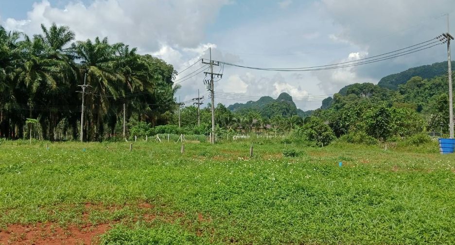 For sale land in Mueang Krabi, Krabi