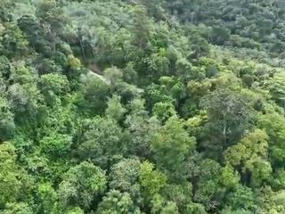 For sale land in Kathu, Phuket