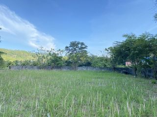 ขาย ที่ดิน ใน ถลาง, ภูเก็ต