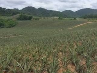 For sale land in Hua Hin, Prachuap Khiri Khan