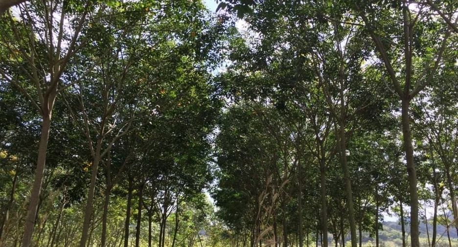 出售 土地 在 华欣, 班武里府
