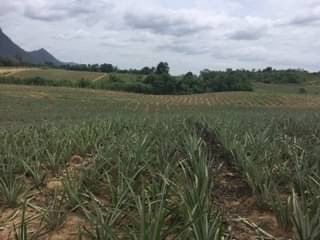 For sale land in Hua Hin, Prachuap Khiri Khan