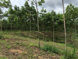 For sale land in Hua Hin, Prachuap Khiri Khan