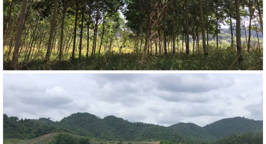 出售 土地 在 华欣, 班武里府