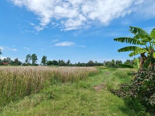 Terreno en venta en Ban Laem, Phetchaburi