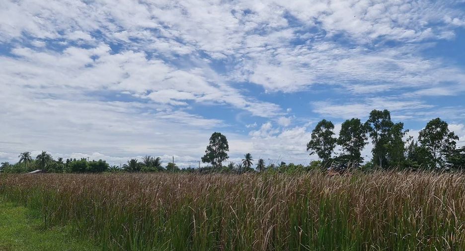ขาย ที่ดิน ใน บ้านแหลม, เพชรบุรี