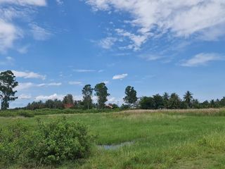 For sale land in Ban Laem, Phetchaburi