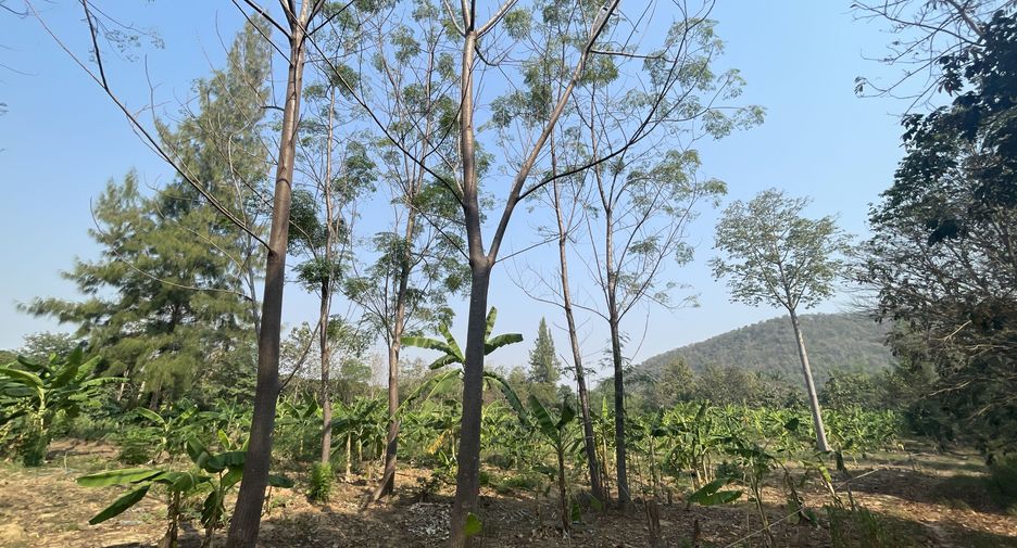 For sale land in Hua Hin, Prachuap Khiri Khan