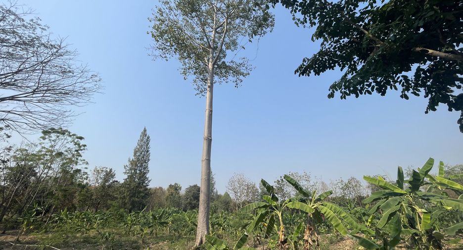 For sale land in Hua Hin, Prachuap Khiri Khan