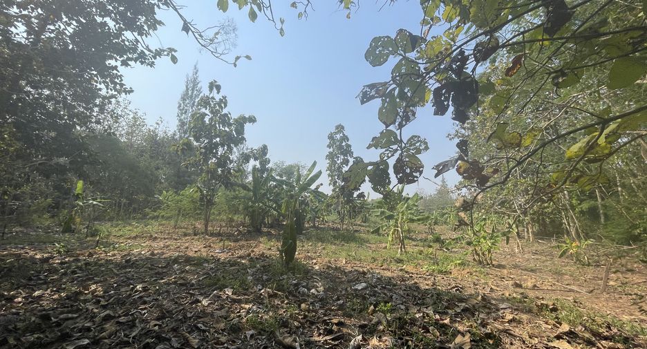 For sale land in Hua Hin, Prachuap Khiri Khan