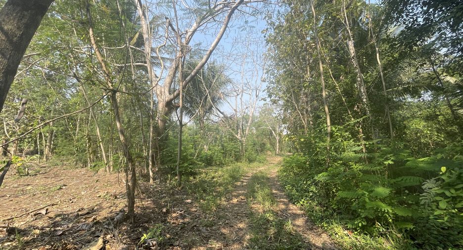 For sale land in Hua Hin, Prachuap Khiri Khan
