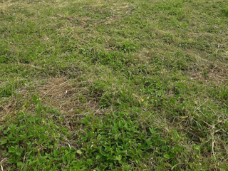For sale land in Hua Hin, Prachuap Khiri Khan