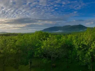 Terreno en venta en Thalang, Phuket