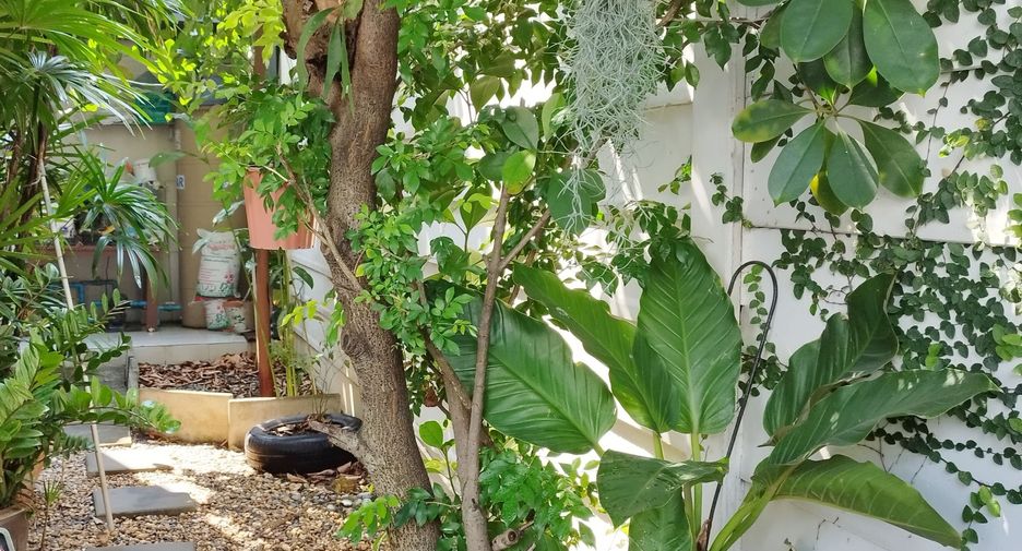 Reihenhaus zum Kauf mit 3 Zimmer in Khlong Sam Wa, Bangkok