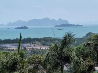 For sale land in Thalang, Phuket