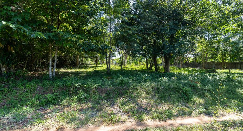 Terreno en venta en Thalang, Phuket