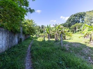 For sale land in Thalang, Phuket