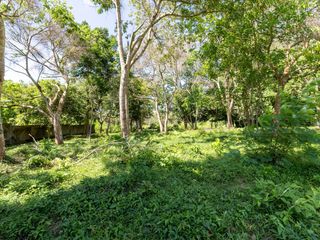 For sale land in Thalang, Phuket