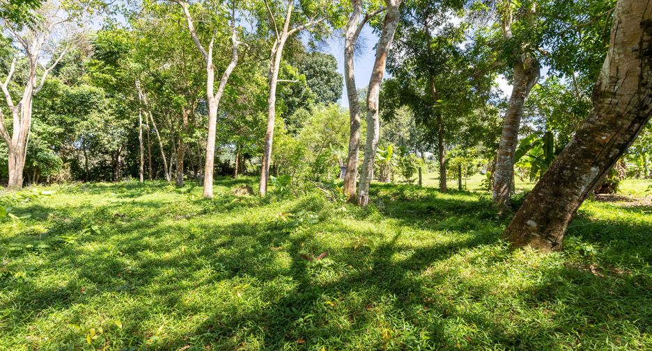 Terreno en venta en Thalang, Phuket