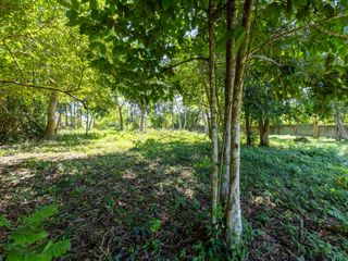 For sale land in Thalang, Phuket