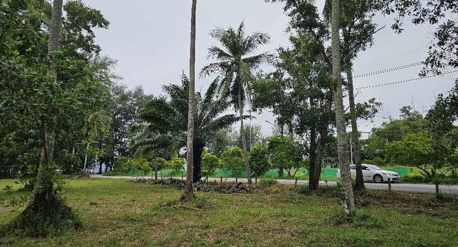 For sale land in Thalang, Phuket