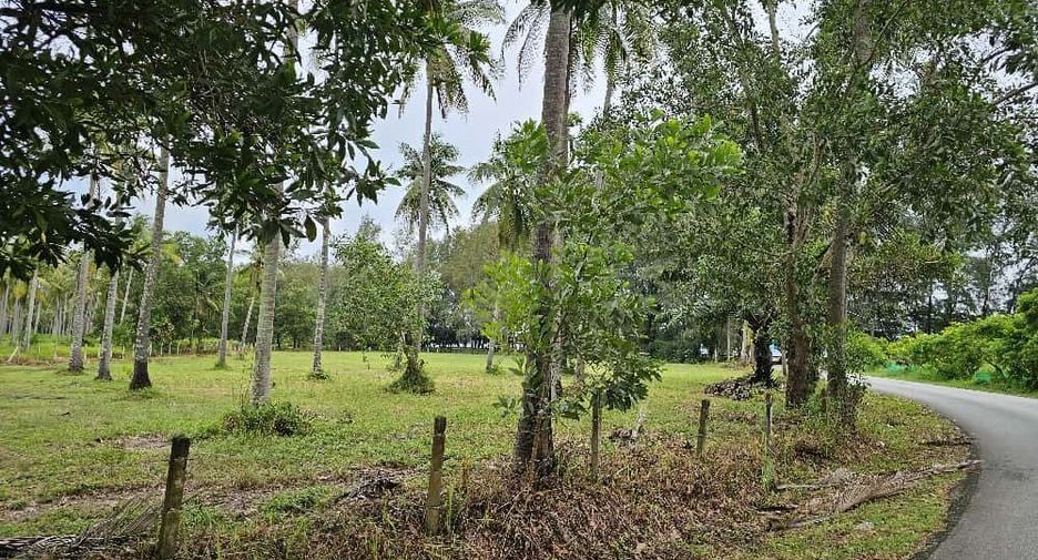For sale land in Thalang, Phuket