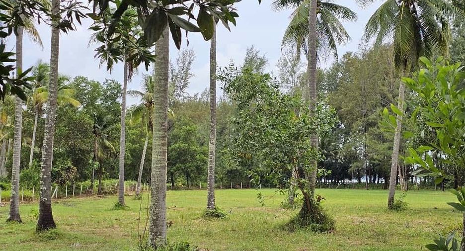 For sale land in Thalang, Phuket