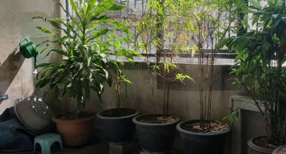 Gewerbefläche zum Kauf mit 3 Zimmer in Chom Thong, Bangkok