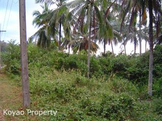 For sale land in Ko Yao, Phang Nga