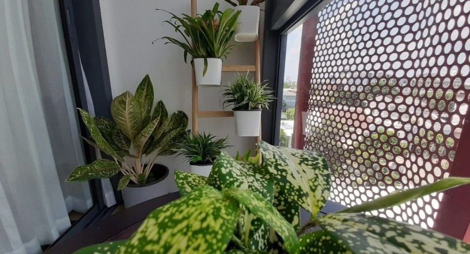 For sale そして for rent 1 Beds condo in Watthana, Bangkok