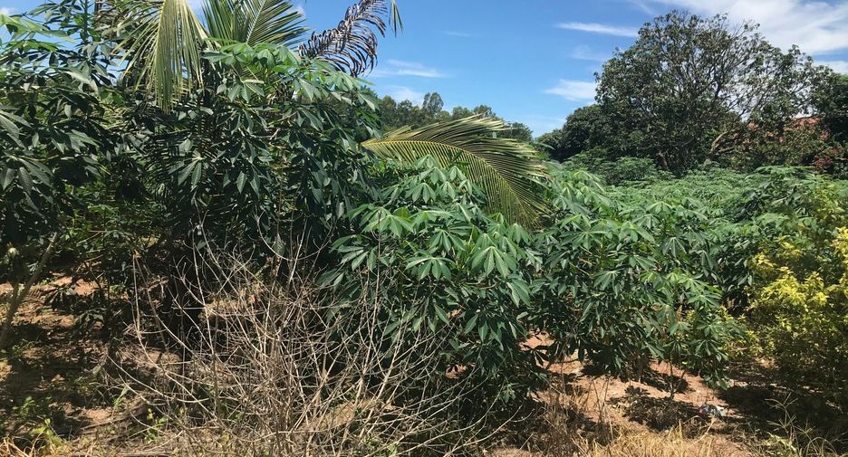 For sale land in Bang Lamung, Chonburi