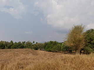 出售 土地 在 Si Racha, Chon Buri